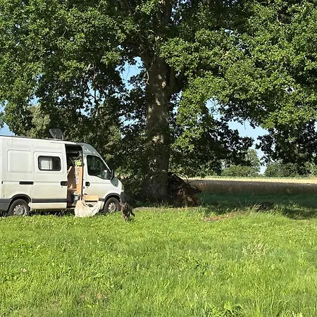 Les Rives De Bel Air - Hebergements - - Caravaning