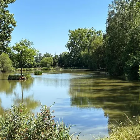 Les Rives De Bel Air - Hebergements - - Caravaning 캠프장 Saint-Siméon