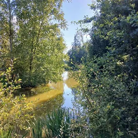 Les Rives De Bel Air - Hébergements - - Caravaning * Saint-Siméon