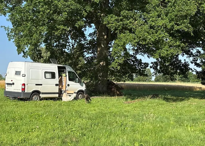 Les Rives De Bel Air - Hebergements - - Caravaning