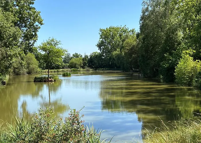 Les Rives De Bel Air - Hebergements - - Caravaning Parque de Campismo Saint-Siméon