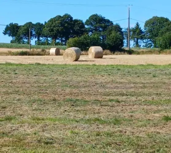 Les Rives De Bel Air - Hebergements - - Caravaning Parque de Campismo *