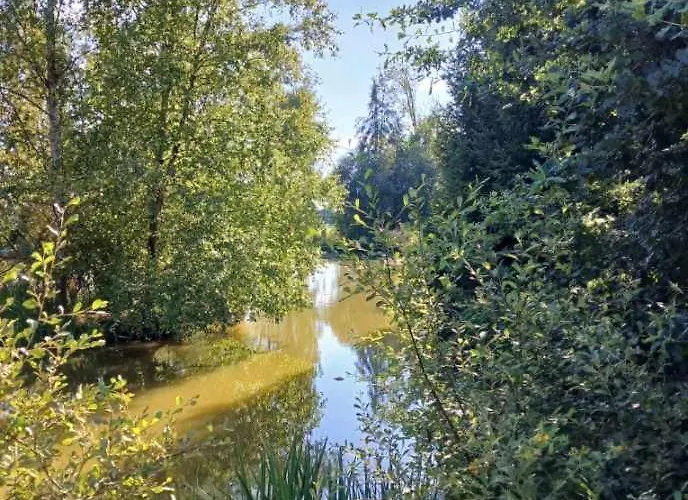 Les Rives De Bel Air - Hebergements - - Caravaning * Saint-Siméon
